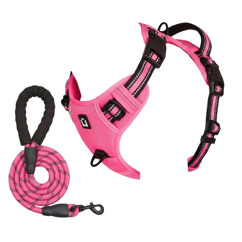 Collars & Leashes